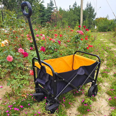 Le PVC pliant de chariot à main de bagage roule le pliage extérieur Mini Camping Cart